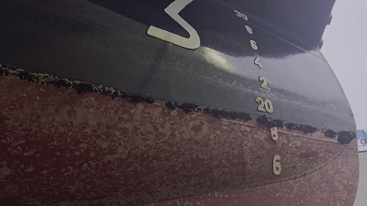 Dirty ship hull near bow with marine growth and blue mussels along waterline. Fouling reduces efficiency