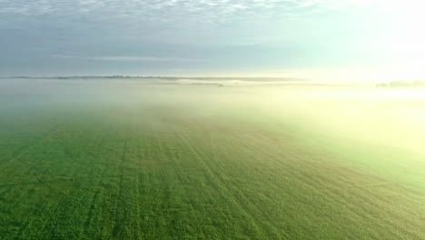 bright sunshine and mist over agriculture field, aerial drone view