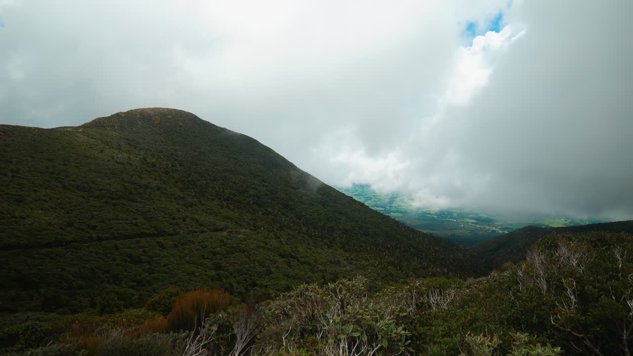 una vista aérea cautivadora de un valle envuelto en niebla en la pintoresca nueva zelanda