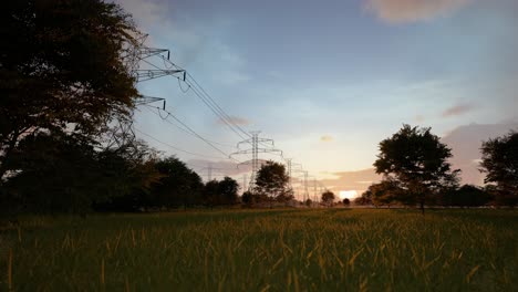 power lines at sunset through a field