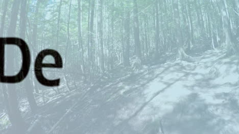 animación de textos de motivación empresarial sobre el bosque
