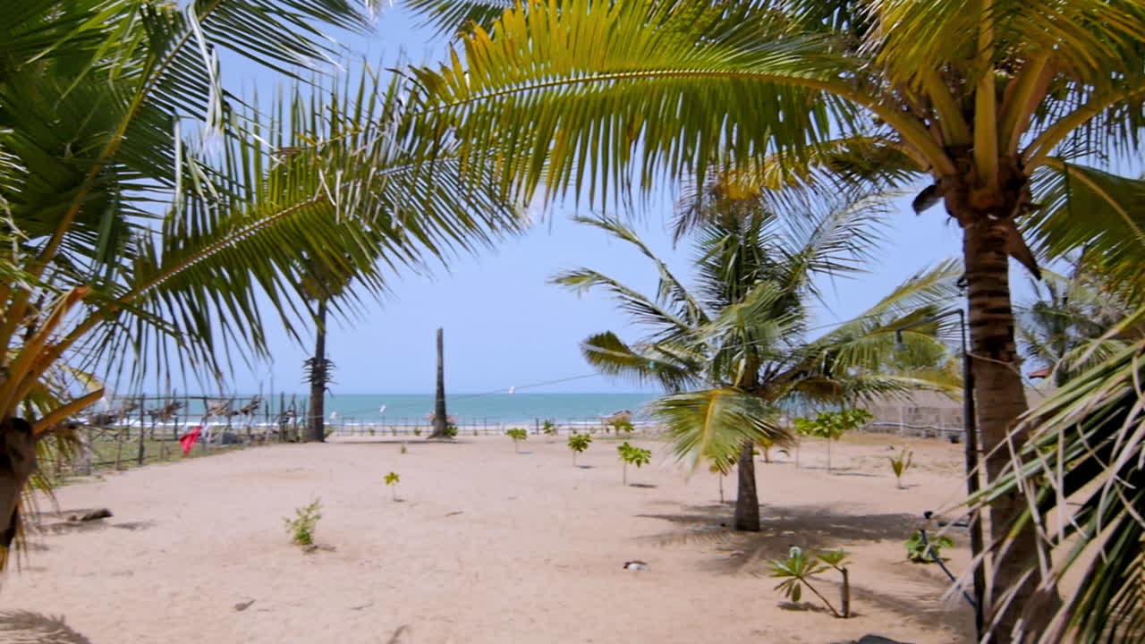 Tropical beach seen through dense palm trees with a glimpse of ocean and bright sunlight hitting golden sand