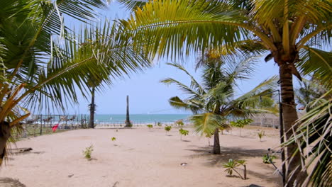 tropical beach seen through dense palm trees with a glimpse of ocean and bright sunlight hitting golden sand