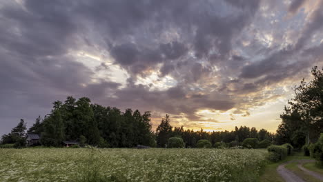 idyllic summer meadow in finland, sunset timelapse