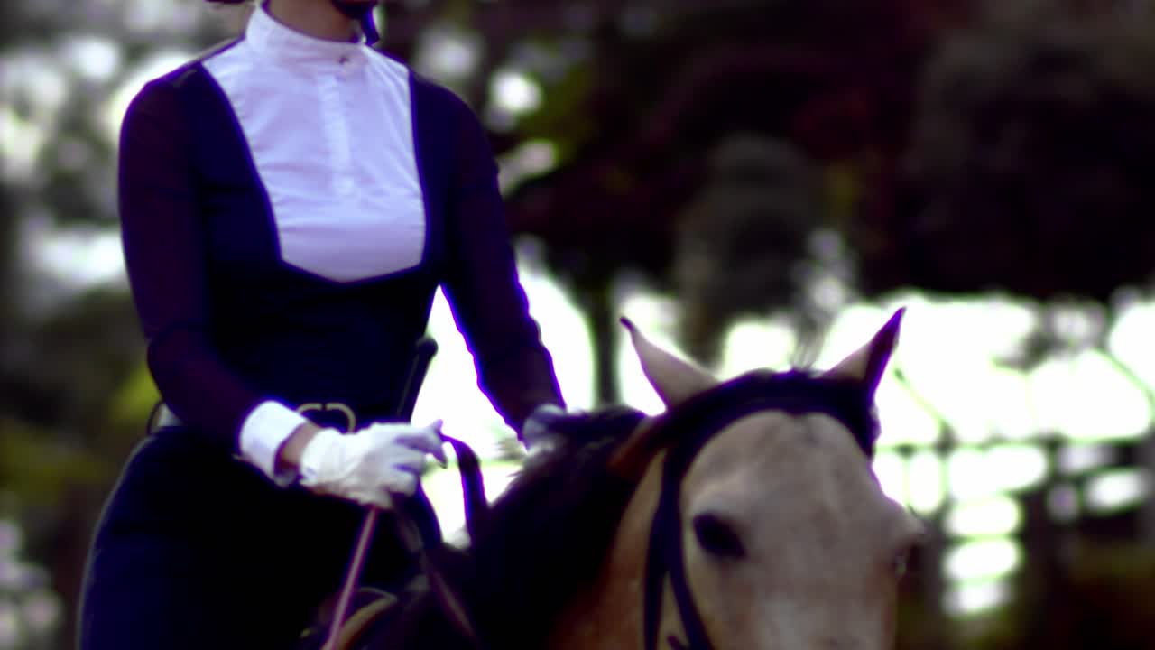 mujer a caballo, galopando, hacia la cámara, inclinarse hacia abajo, a la cabeza de caballo, semental corriendo, hermosa, jinete femenina, traje blanco y negro, cinta, caballo marrón, cámara lenta, vívido, colores, slomo