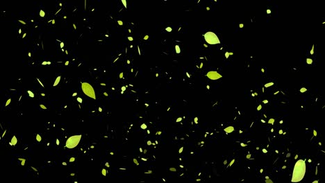 yellow dead leaves, autumn leaves, autumn, particles that emerge, motion graphics