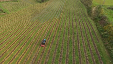 Traktor-Landwirtschaftsmaschine-Arbeitet-Auf-Dem-Feld