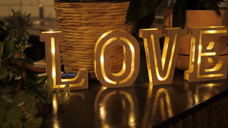 lit golden love sign on a reflective table with native plants surrounding