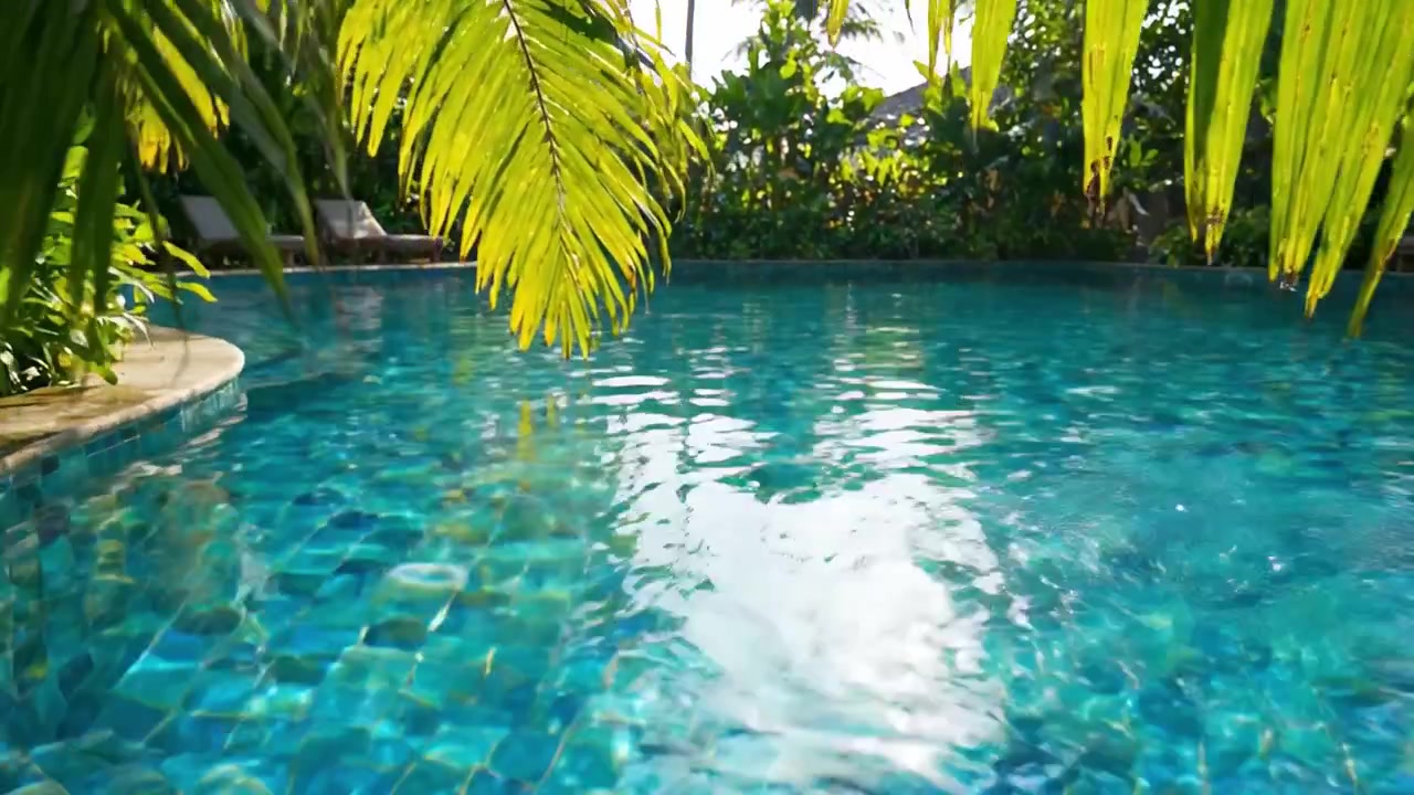 Fredfyldt oase: En rolig swimmingpool omgivet af frodigt grønt og sollys, der indbyder til afslapning og forfriskning i et tropisk paradis.
