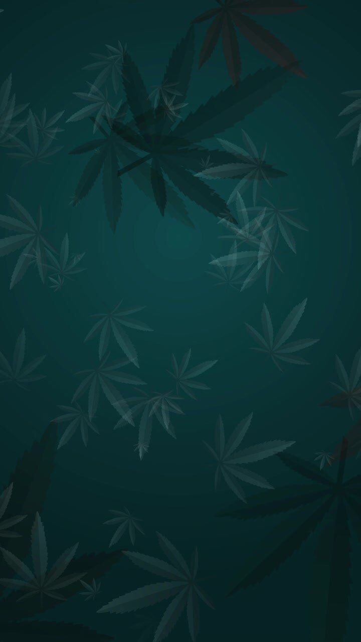 Green marijuana leaves background. Cannabis loop animation. Copy space. Vertical video.