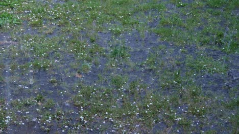 falling ice raindrops during a storm