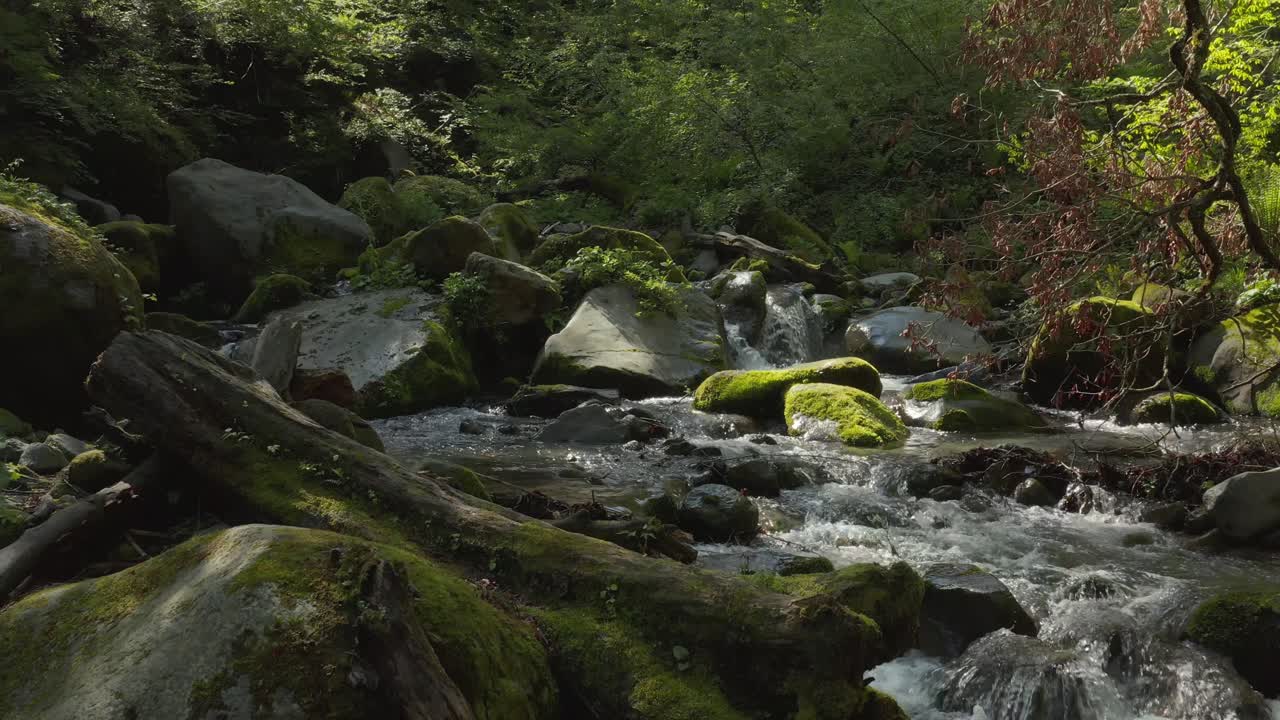 Bujné lesy a řeky hory Daisen při východu slunce, Tottori, Japonsko