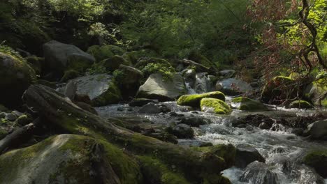 Lush-Forests-and-Rivers-of-Mt-Daisen-at-Sunrise,-Tottori-Japan