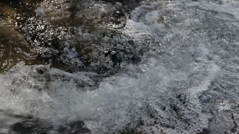 following flow of water down stream.