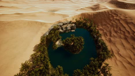 top-down-aerial-view-of-oasis-in-desert