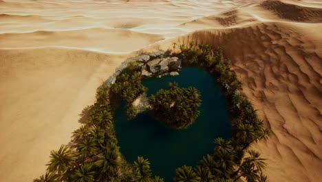 vista aérea de arriba hacia abajo de un oasis en el desierto
