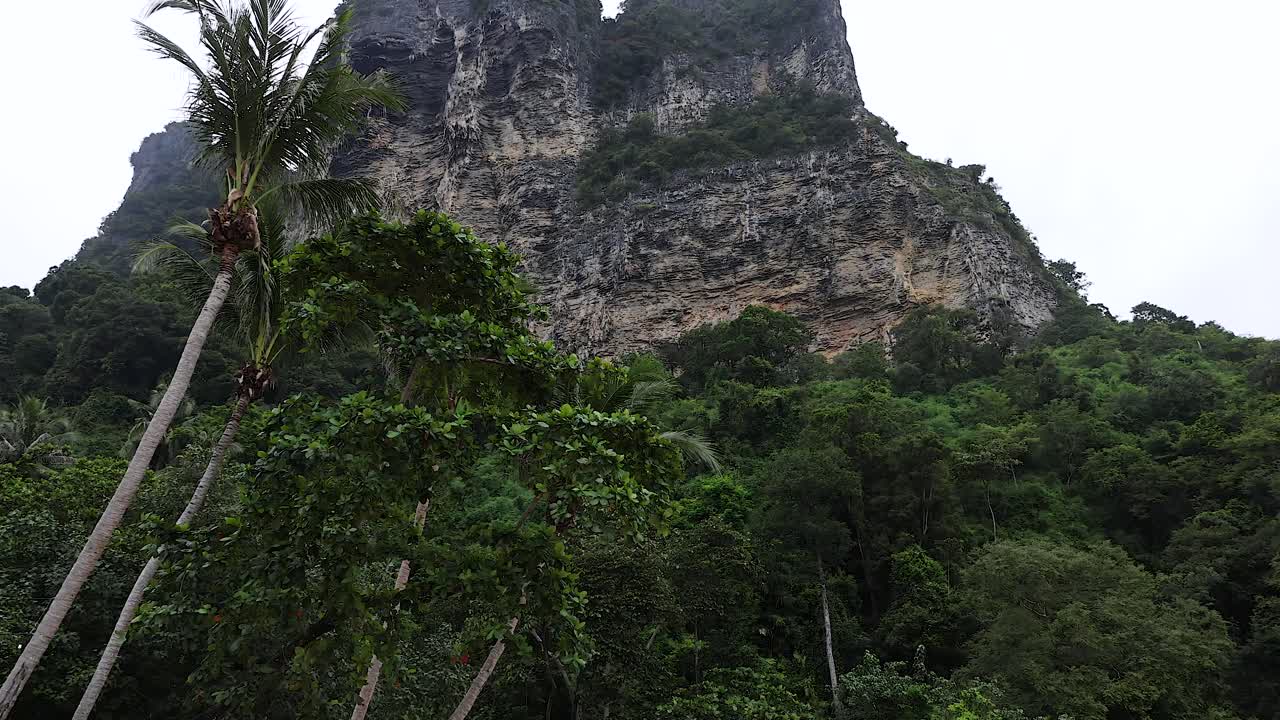 la exuberante vegetación y los altos acantilados en krabi