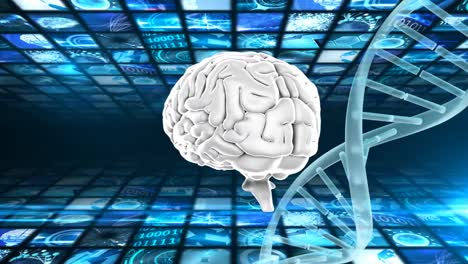 y el cerebro y el adn en doble hélice girando