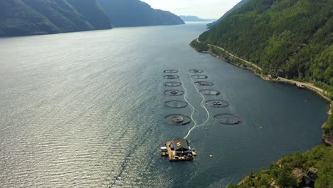 aerial footage farm salmon fishing in norway