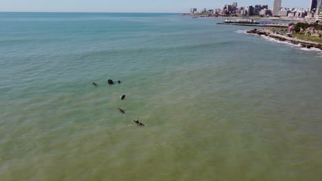 Antena-Orbitando-Alrededor-Del-Equipo-Profesional-De-Remo-En-El-Mar-En-Mar-Del-Plata,-Buenos-Aires,-Argentina