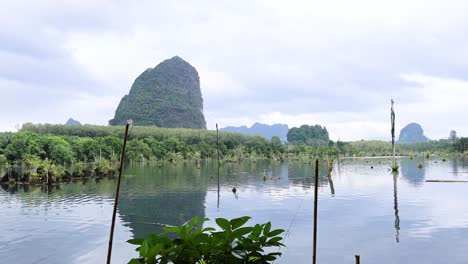 serene tropical lake scenery