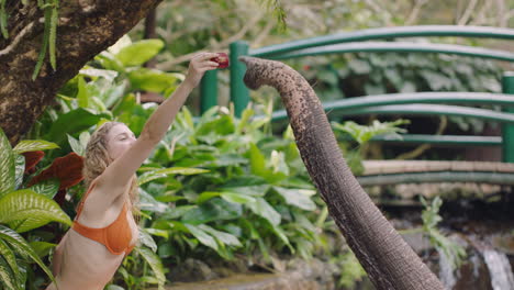 beautiful woman feeding elephant in zoo playing in pool splashing water female tourist having fun on exotic vacation in tropical forest sanctuary