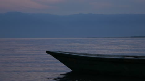 Elefantenohrpflanzen-Wachsen-In-Einem-Kleinen-Teich-In-Afrika