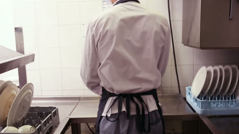 kitchen porter cleaning plates in sink