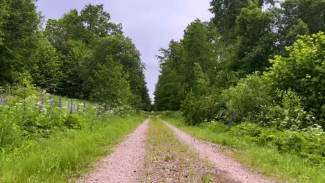 Avanzando-Hacia-El-Estrecho-Camino-Rural-Y-El-Verdor-Natural-En-Una-Zona-Rural