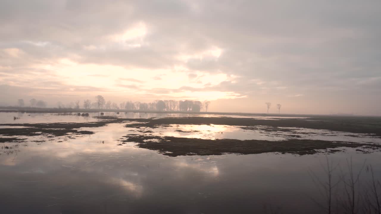 안개 가 가득 한 습지 에서 해가 뜨는 것