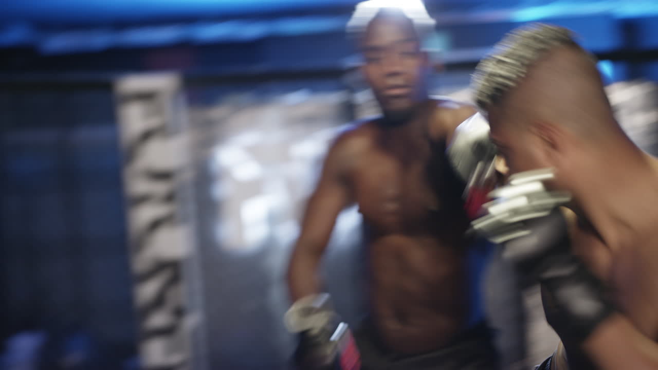 권투 훈련 세션