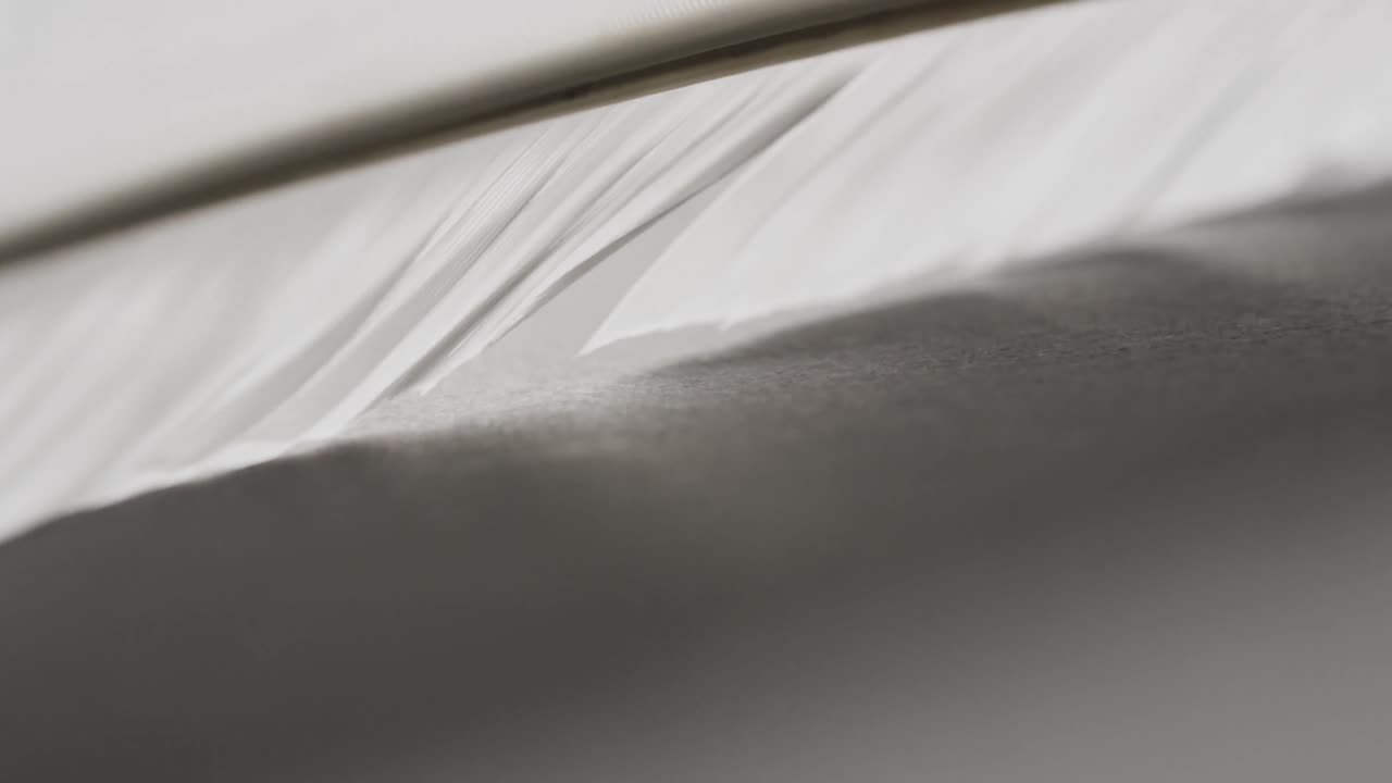 회색 배경에 복사 공간과 함께  ⁇ 털의 클로즈업의 마이크로 비디오