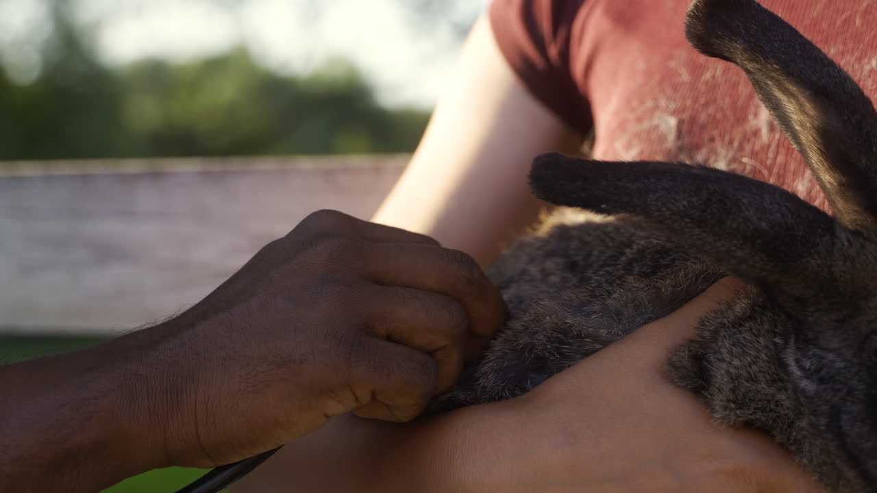 전문적인 남자가 귀여운 토끼를 경청하고 있습니다.