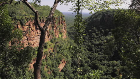 Mystifizierende-Tiefen-Des-Sengal-Afrika-Dschungelwald-Gebirgsgebiets