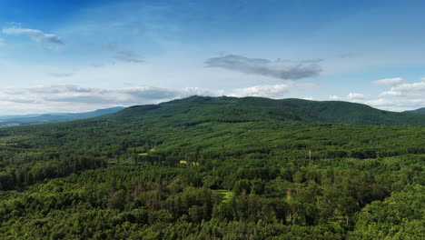 rising above the lush green forests covering the scenery. verdant mountains at backdrop.