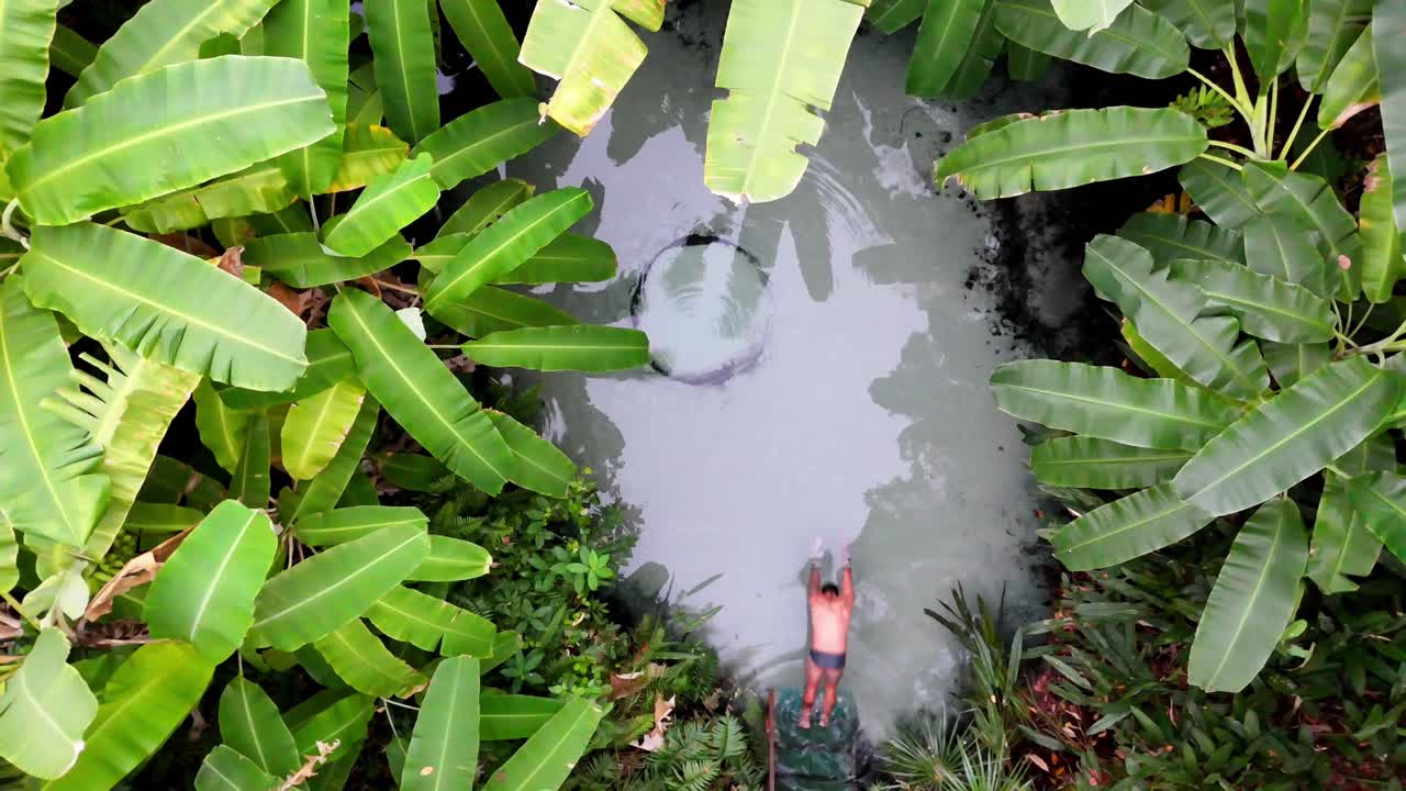 브라질의 잘라팡에 있는 페르베도우루 두 세이사에 수영하기