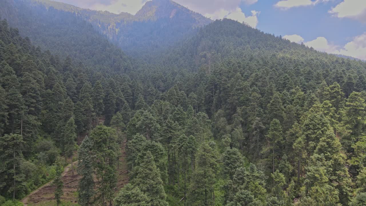 tirar al frente en medio del bosque al otro lado de la montaña