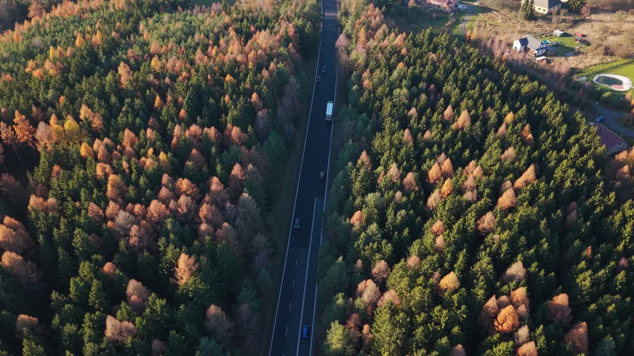 Top down drone capture of a colorful autumn road with vehicles and bright trees