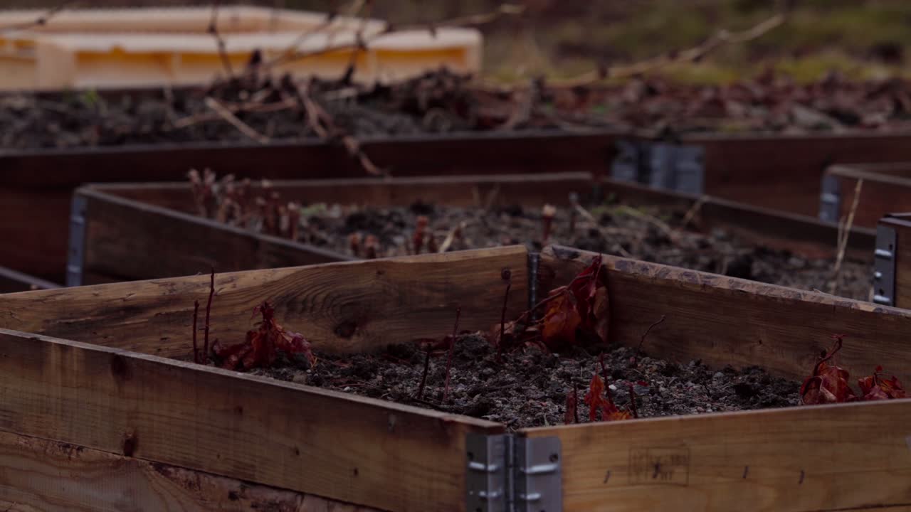 뒷마당 정원에서 나무 정원 높여진 침대