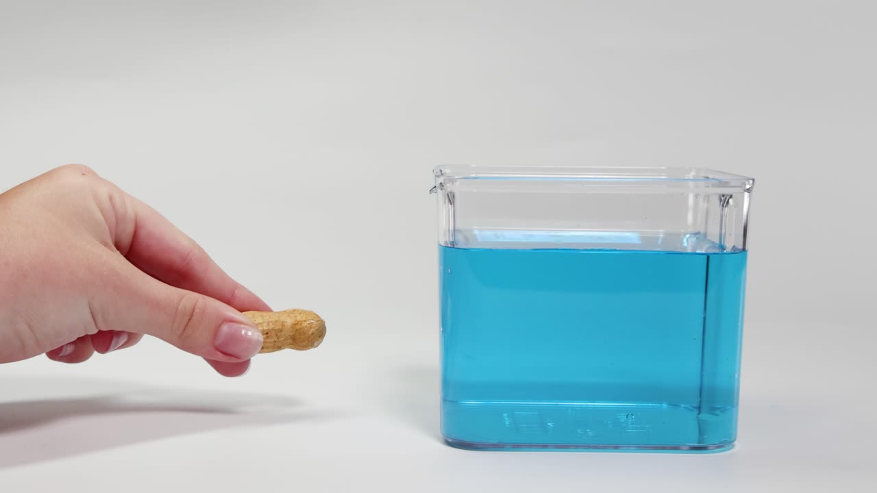 A hand drops a peanut into blue liquid, observing its buoyancy. Clear lighting and simple composition highlight the experiment
