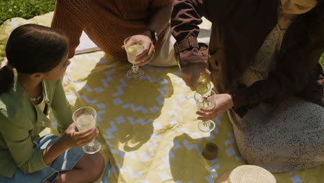 family picnic with lemonade