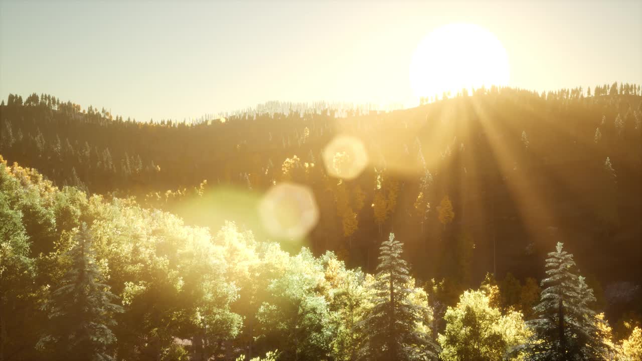 ⁇ 빛의 광선은 나 ⁇ 가지를 통해 그들의 길을