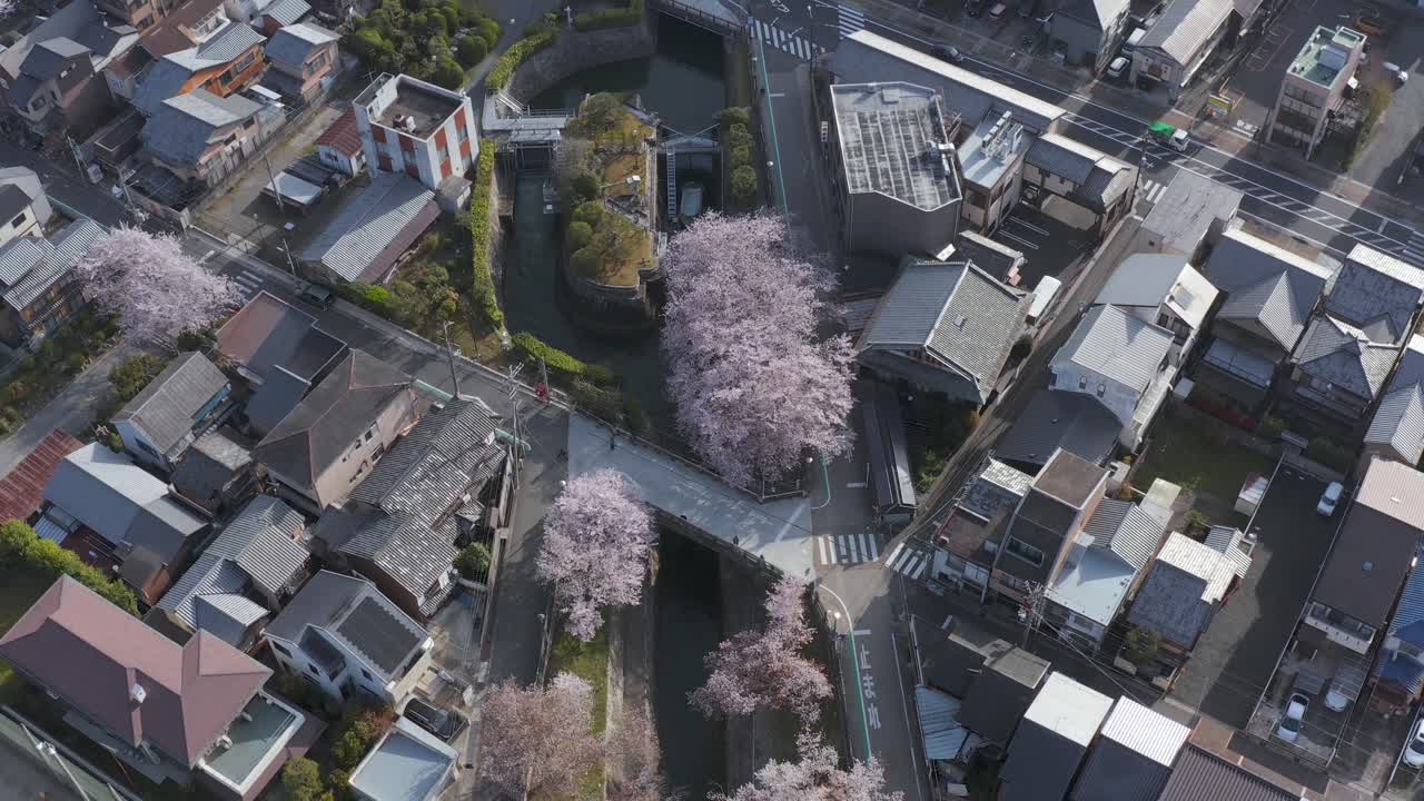 시가현 오쓰시, 봄의 비와코 운하를 따라 벚꽃, 조감도