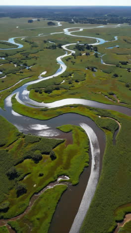 aerial view of winding river through green marshland
