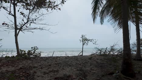 Vista-Aislada-De-La-Costa-De-Palomino,-Colombia