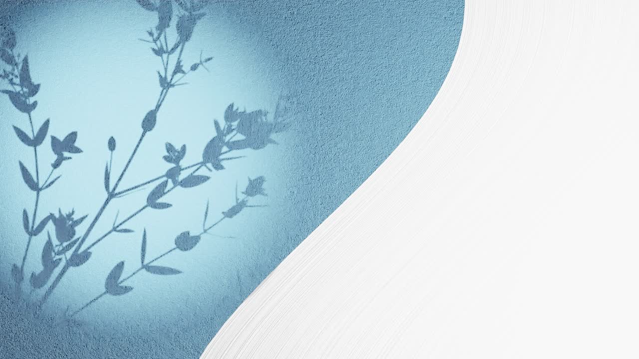 빈 하 공간과 푸른 배경에 부드러운 여름 바람에 의해 움직이는 꽃 식물의 분할 화면의 그래픽 예술 애니메이션