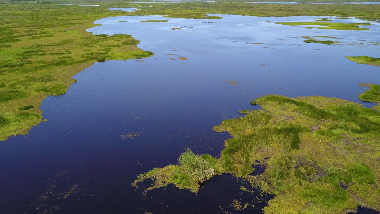 Zone umide del nord-est dell'Argentina riprese con drone