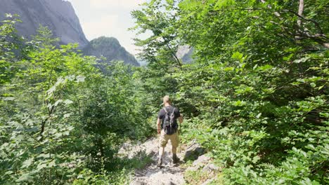 Excursionista-Masculino-Caminando-Por-Un-Sendero-Con-árboles-A-Ambos-Lados