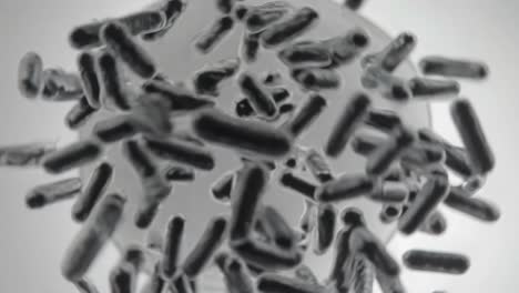 3d animation of bacteria