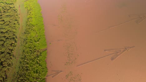 Arrow-head-fish-nets-in-muddy-waters-on-the-Tonle-Sap-shore-line,-Asias-biggest-inland-lake,-Cambodia